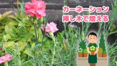 園芸 Opty Life オプティライフ